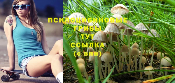 бошки Валдай