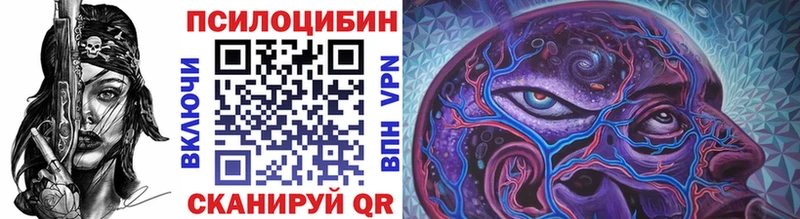 как найти   Асино  OMG ссылка  Псилоцибиновые грибы Cubensis 