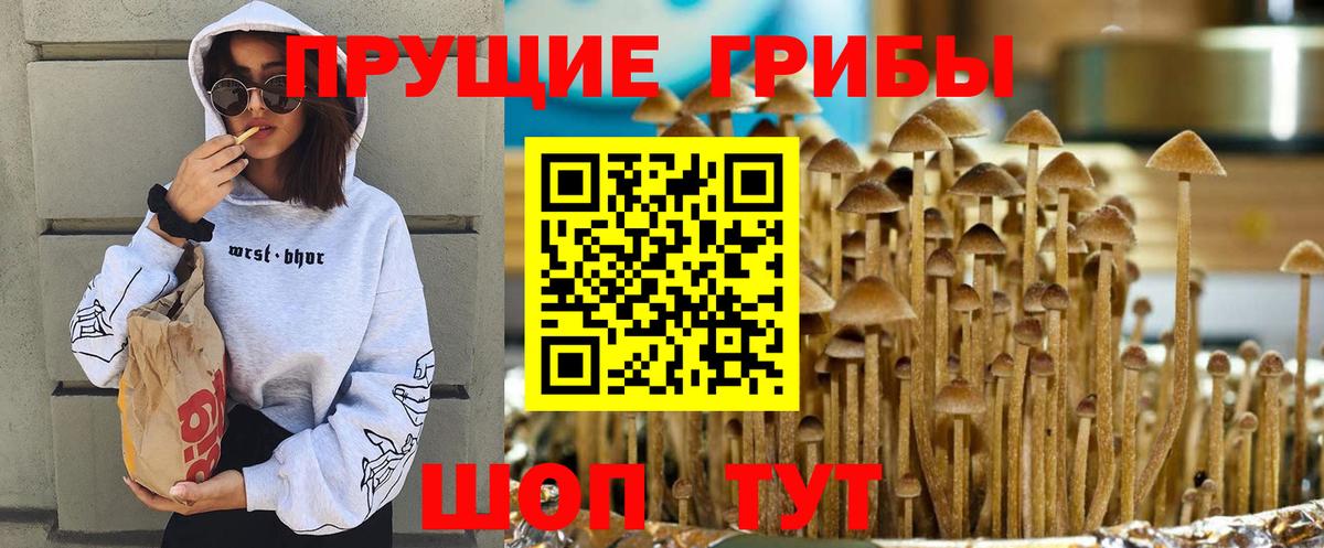 Асино  Галлюциногенные грибы MAGIC MUSHROOMS  Вход с VPN 